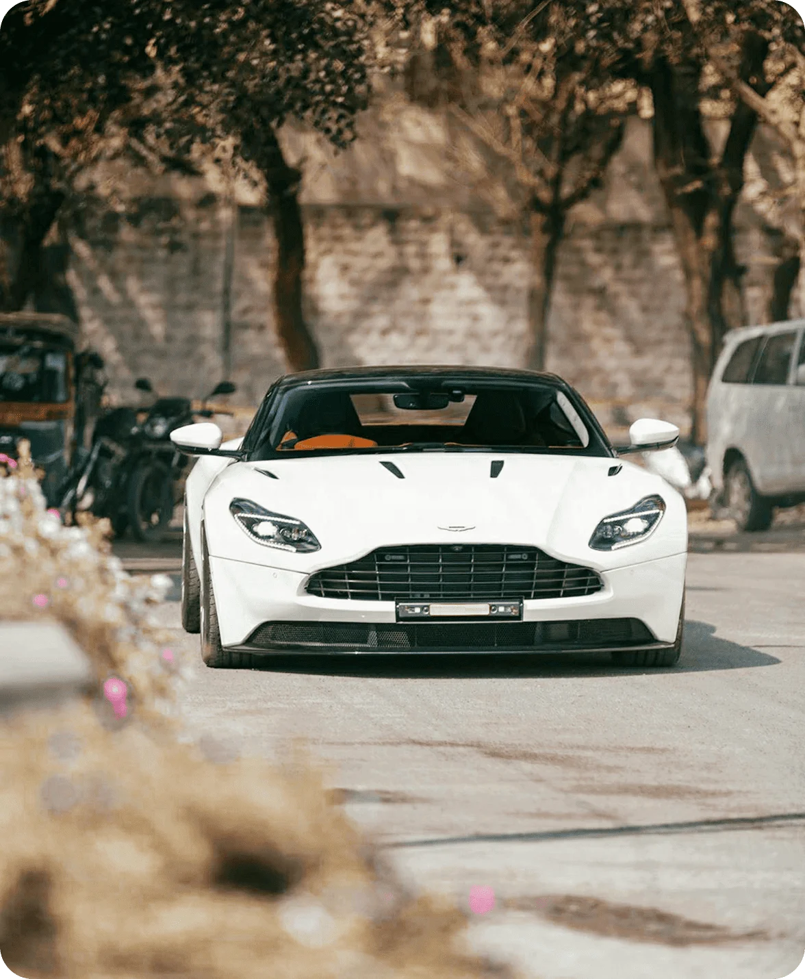 Car Rentals